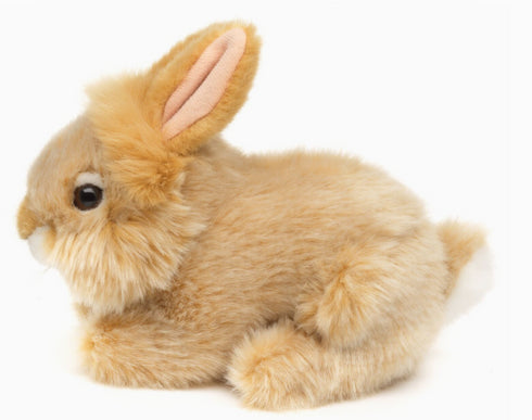 Angorakaninchen