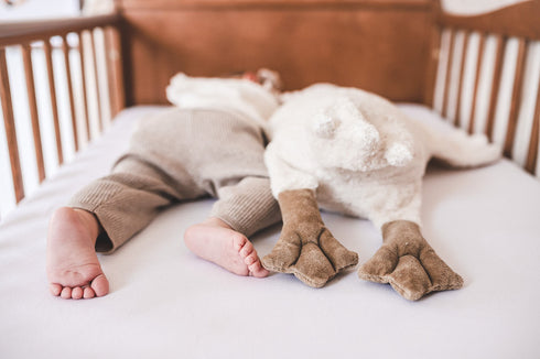 Senger Naturwelt - Gans