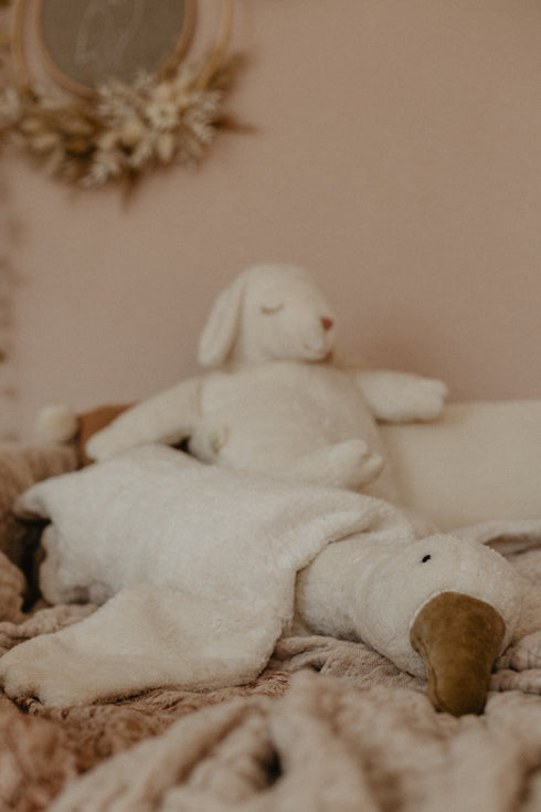 Senger Naturwelt - Gans