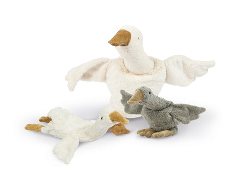 Senger Naturwelt - Gans